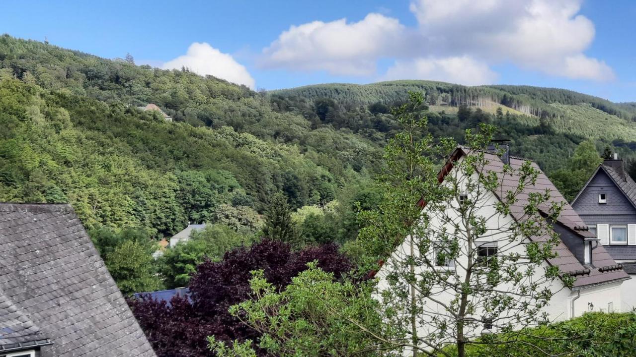 Yalet Ferienhaus 2 Appartementen Vlakbij Willingen Brilon-Wald Exterior foto